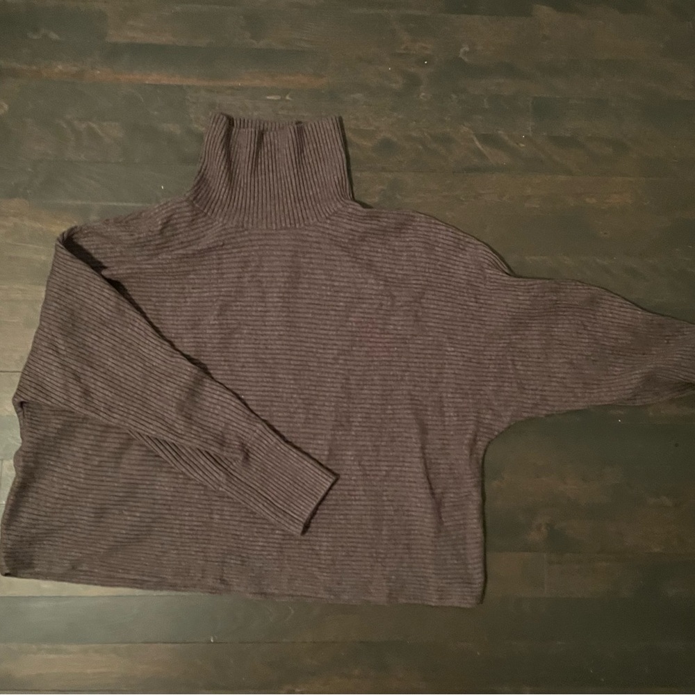NWOT Aritzia turtleneck